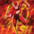 DC Comics The Flash Action Pose Surface Book 2 15in Skin